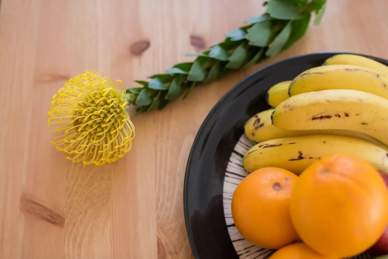 Apartamentos Praca Amarela By Heart Of Funchal Daire